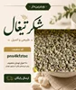 راهنمای جامع شناخت و خرید شکر تیغال؛ خواص درمانی، نحوه مصرف و تشخیص اصالت