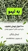 خواص به‌لیمو برای آرامش اعصاب، خواب بهتر و لاغری؛ چرا این دمنوش این‌قدر محبوب شده است؟