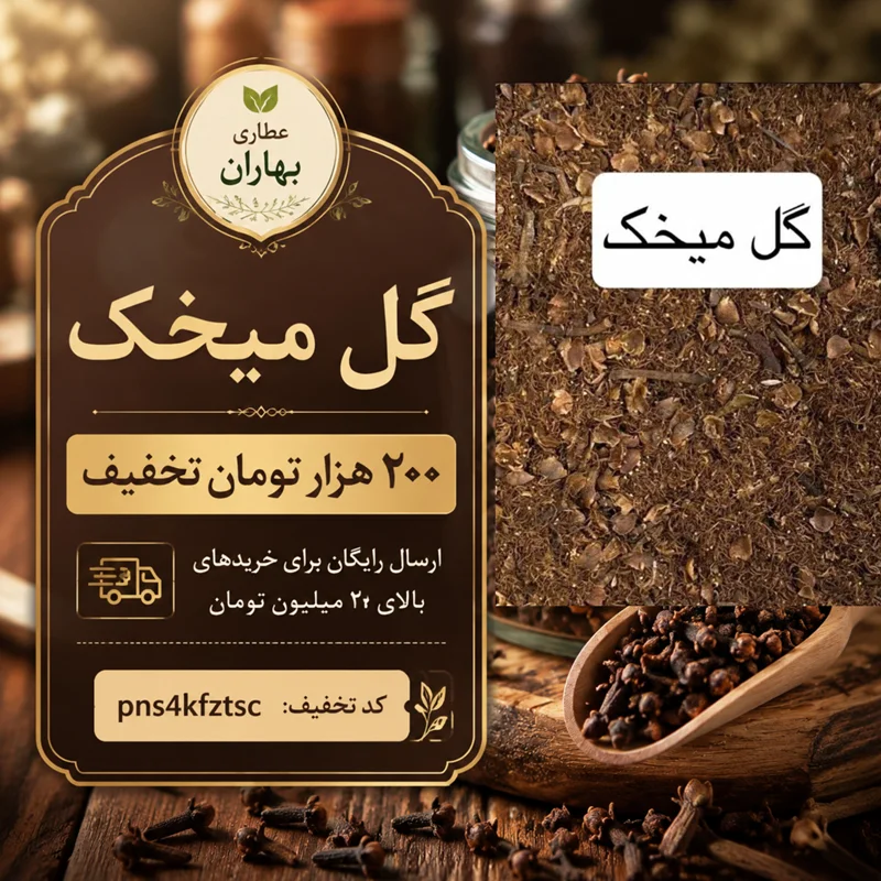 گل میخک چیست؟ راهنمای خرید میخک اصل، خواص، روش مصرف و تشخیص کیفیت