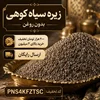 تشخیص زیره سبز اصل از تقلبی؛ 6 نشانه مهم برای خرید زیره مرغوب و خوش‌عطر