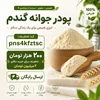 موارد منع مصرف پودر جوانه گندم؛ چه کسانی نباید از این پودر استفاده کنند؟