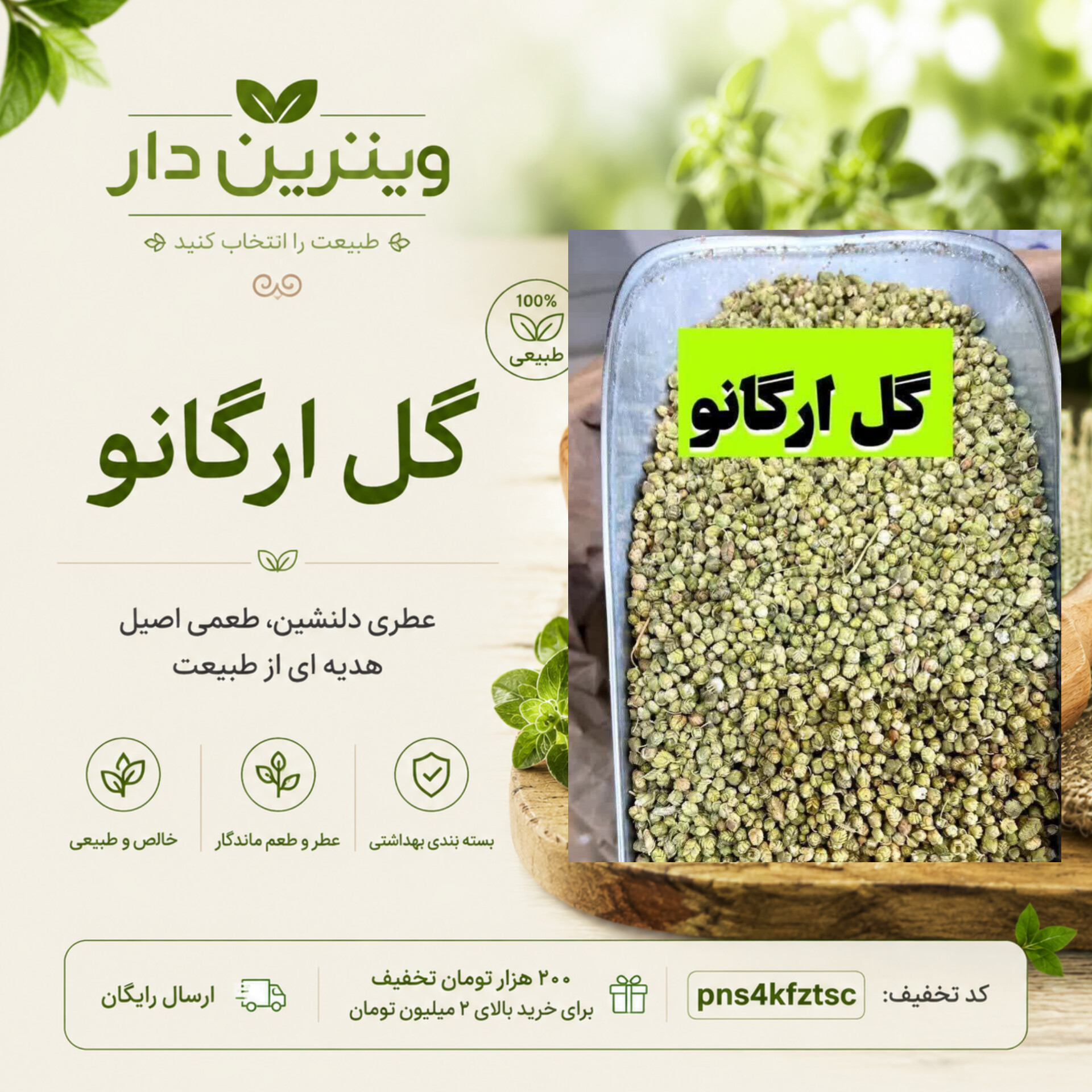 گل ارگانو خشک | پونه کوهی معطر(۱کیلویی)